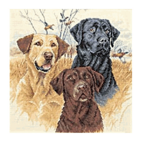 Набор для вышивания Dimensions 35096 Great Hunting Dogs фото