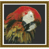 Набор для вышивания Kustom Krafts JW-014 Macaw фото