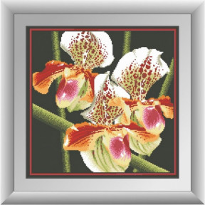 Набор для рисования камнями алмазная живопись Dream Art Хищная орхидея (квадратные, полная) 30411D
