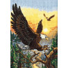 Набор для вышивки крестом Dimensions 06759 Eagles фото