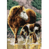 Набор для вышивки крестом Dimensions 65073 Sunlit Horses фото