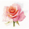 Набор для вышивки крестом Алиса 2-40 Дыхание розы. Нежность фото