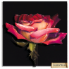 Картина из бумаги Папертоль PT150005 "Роза на рассвете" фото