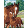 Набор для вышивки Dimensions 06960 Mother’s Pride Horses фото
