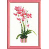 Набор для вышивки крестом Риолис 1162 Розовая орхидея фото
