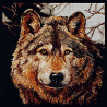 Набір для вишивання Janlynn 023-0570 Wolf фото