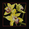 Набор для вышивки RTO M264 Орхидеи Цимбидиум фото