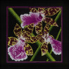Набор для вышивки RTO M265 Орхидеи Зигопеталум фото