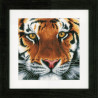 Набір для вишивання Lanarte PN-0156010 Tiger Тигр фото
