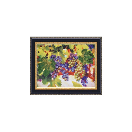 Набор для вышивания Картины Бисером Р-056 Виноградные гроздья