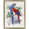 Набір для вишивання Eva Rosenstand Сині Ари (Blue macaws)