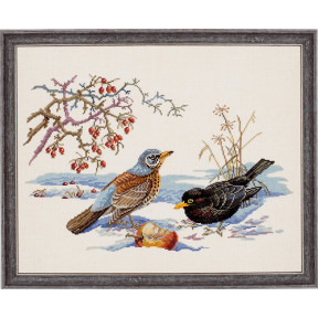 Набір для вишивання Eva Rosenstand Birds 12-543