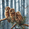 Набор для вышивания LETISTITCH Owls family LETI 946 фото