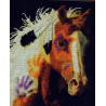 Набір для вишивання Bucilla 45442 War Pony фото