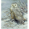 Набор для вышивания Bucilla 45470 Snowy Owl фото