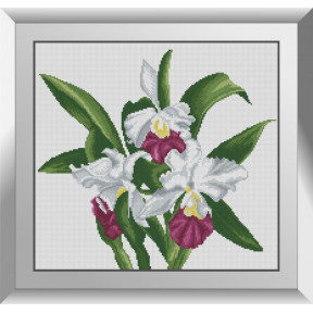Набор для рисования камнями алмазная живопись Dream Art Орхидея каттлея (квадратные, полная) 31188D