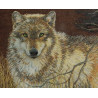 Набор для вышивания Bucilla 45477 Gray Wolf фото