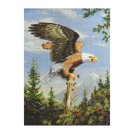 Набор для вышивания Bucilla 45478 Screaming Eagle фото