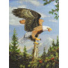 Набір для вишивання Bucilla 45478 Screaming Eagle фото