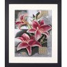 Набір для вишивання Lanarte L35089 Composition of pink Lilies