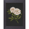 Набор для вышивания Lanarte L38012А Peonies on black фото