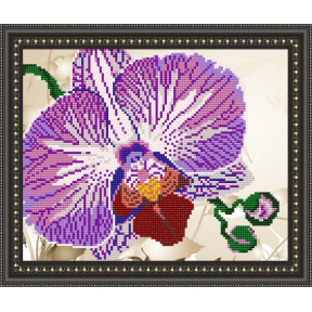 Схема на ткани для вышивания бисером ArtSolo Орхидея  VKA4105
