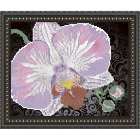 Схема на ткани для вышивания бисером ArtSolo Орхидея на черном  VKA4105