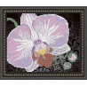 Схема на ткани для вышивания бисером ArtSolo Орхидея на черном