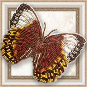 Набір для вишивання бісером метелика на прозорій основі Стихофтальма Луїза