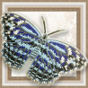 Набір для вишивання бісером метелика на прозорій основі Морська
