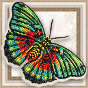 Набір для вишивання бісером метелика на прозорій основі Натхнення Euphaedra