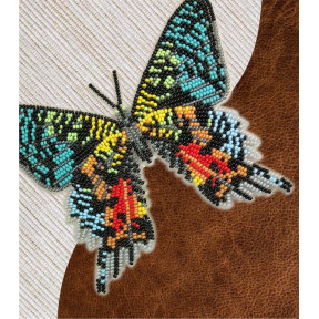 Набор для вышивки бисером бабочки с водорастворимым флизелином Вдохновение Урания мадагаскарская NBFL-043