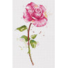 Набор для вышивки крестом Panna Акварельная роза C-7190 фото