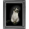 Набір для вишивки хрестиком Кіт 70912 Сіамська кішка фото