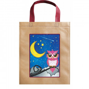 Сова и луна Абрис Арт Набор-сумка для вышивания бисером АСА-006
