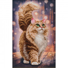 Мечтательный кот Набор для вышивания бисером VDV ТН-1342