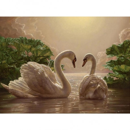Пара лебедей Картина по номерам Идейка холст на подрамнике 40x50см КНО301