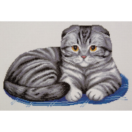 Шотландский вислоухий кот Набор для вышивки крестом Panna