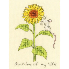 Набор для вышивания крестом Sunshine of my life Солнечный свет моей жизни Bothy Threads XAJ13