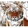 Сибирский тигр Набор для вышивания бисером ТМ АЛЕКСАНДРА ТОКАРЕВА 41-2695-НС