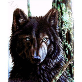Канадский волк Набор для вышивания бисером ТМ АЛЕКСАНДРА ТОКАРЕВА 33-2576-НК