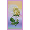Белая роза Схема для вышивки бисером Картины бисером S-224