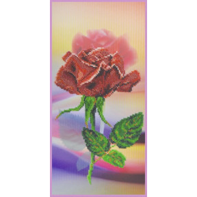 Красная роза Схема для вышивки бисером Картины бисером S-244