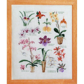 Сорти орхідей Набір для вишивання хрестиком Lucas Creations FL18-K