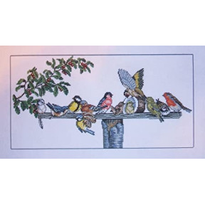 Птицы Набор для вышивания крестом Eva Rosenstand 14-076