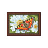 Метелик Канва з нанесеним малюнком для вишивки хрестом Світ