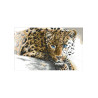 Леопард Канва с нанесенным рисунком для вышивки крестом Світ можливостей 980СМД