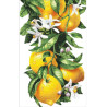 Лимоны Канва с нанесенным рисунком для вышивки крестом Світ можливостей 9116СМД