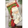 Набір для вишивання Dimensions 70-08938 Secret Santa Stocking