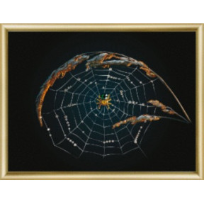 Набір для виготовлення картини зі стразами Чарівна Мить КС-002 Павук